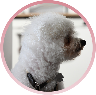 Rico | Eva Matusewicz Steuerberatung