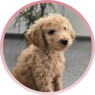 Sammy | Eva Matusewicz Steuerberatung